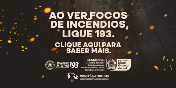 campanha contra a dengue